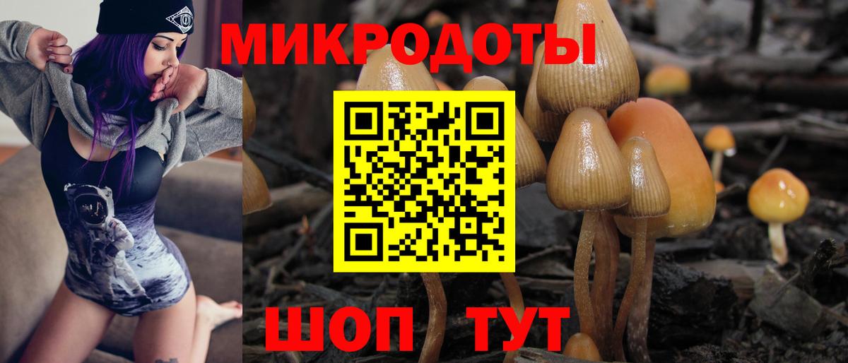 Псилоцибиновые грибы Cubensis  Вход с VPN  Псилоцибиновые грибы ЛСД  Шали 
